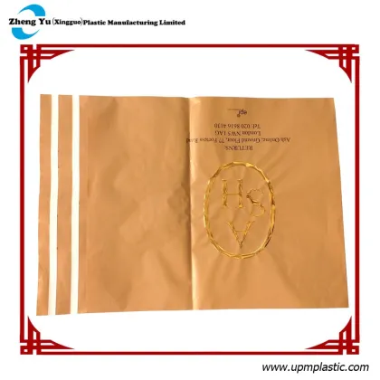 Custom Logo Express PE Mailing Bags