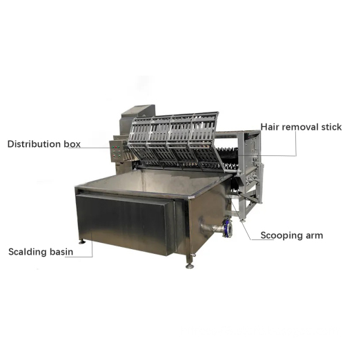 Goat Slaughter Equipment: Scalding and Dehairing Machine