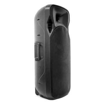 Powerful Wireless Subwoofer DJ Speaker for Outdoor Parties and Karaoke