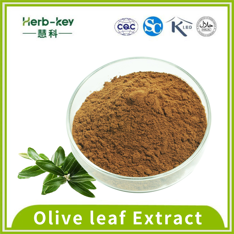 Oléuropéine 20% Extrait de feuilles d'olivier anti-inflammatoire