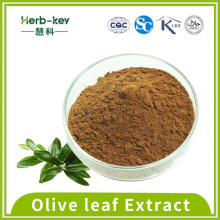 Antioxidans 75% Oleuropein Olivenblattextraktpulver
