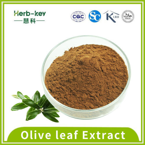 Antioxydant 75% de poudre d'extrait de feuille d'olive oléuropéine