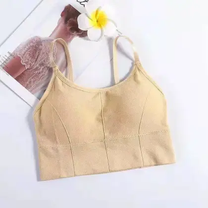 Wholesale Nylon Strap Adjustable Back and Chest Wrapping Underwear for Women