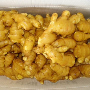 Shandong Fresh Ginger