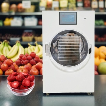 High-Powered Vacuum Freeze Dryer Machine with Electric Pump for Efficient Cooling in Drop Shipping