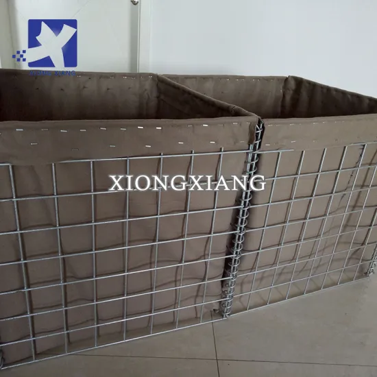 Customized Competitive Price Galvanized Welded Wire Mesh for Sand Wall and Defensive Barriers