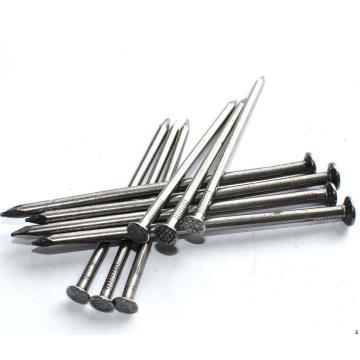 Galvanized Common Nails/Common Wire Nails/Iron Nails
