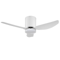 Low profile ceiling fan indoor use