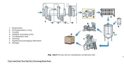 Complete full cream condensed evaporated milk processing machinery