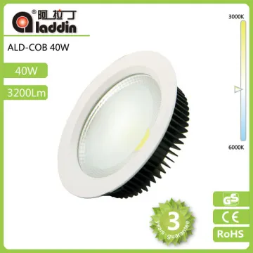 downlight cob leds