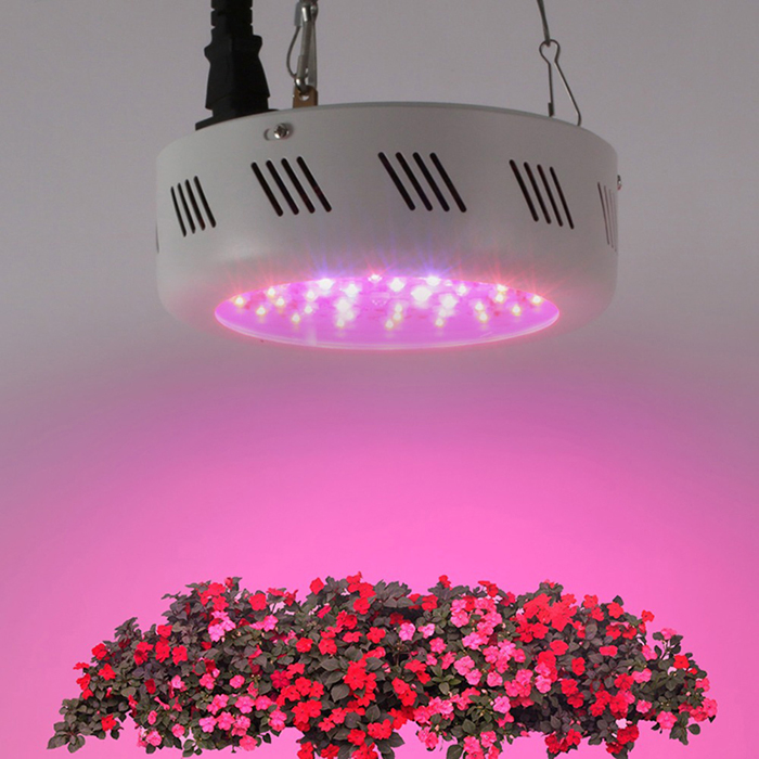 Greenhouse Hydroponic LED Growing Light
