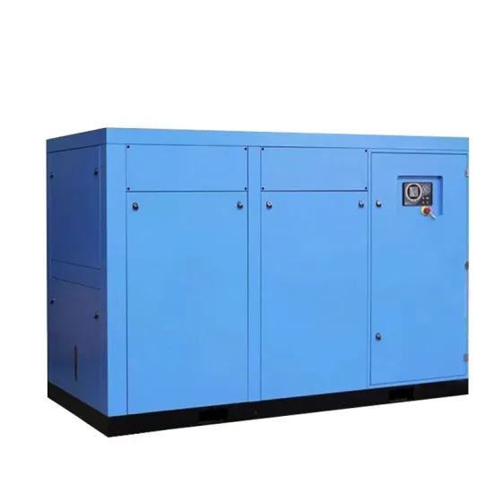 Air compressor screw of oil free air compressor