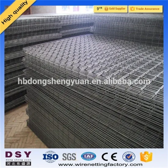 Hight quality protecting mesh galvanized welded wire mesh panel for sale