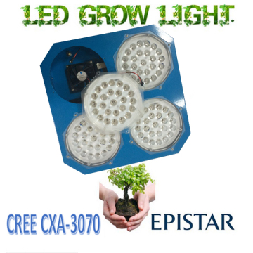 Cheapest for potato tomato and vegetables used full spectrum 500w led grow light PD-CF-500G led grow light