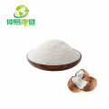 100% Pure Coconut Juice Powder