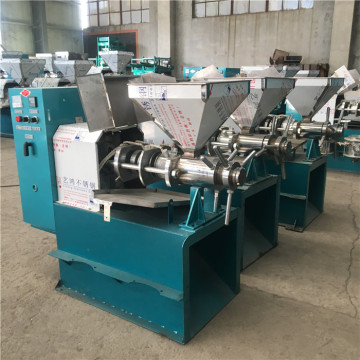 Food & Beverage Factory: Twin Screw Palm Oil Press Machine and Rosehip Seed Oil Extraction Plant Solutions