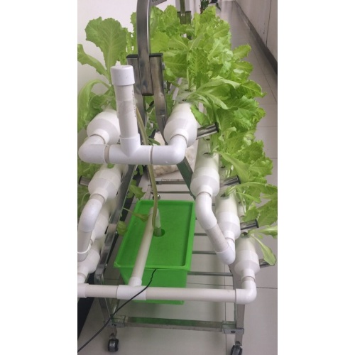 Garden Home NTF Indoor Hydroponic Grwoing System