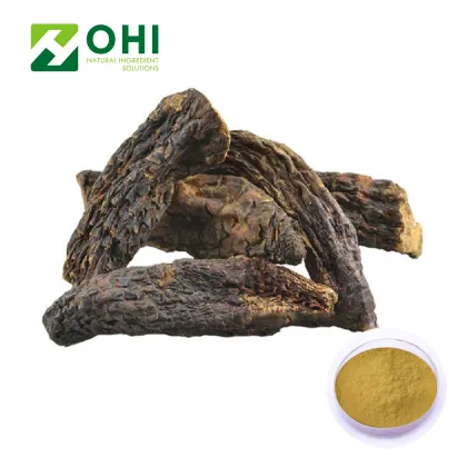 Cistanche Tubulosa Extract Powder