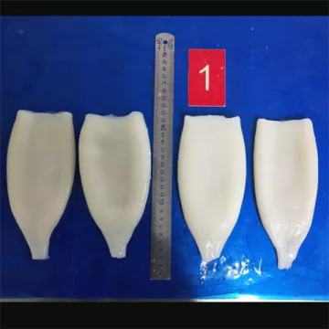 Frozen IQF Squid Tubes Todarodes Pacificus