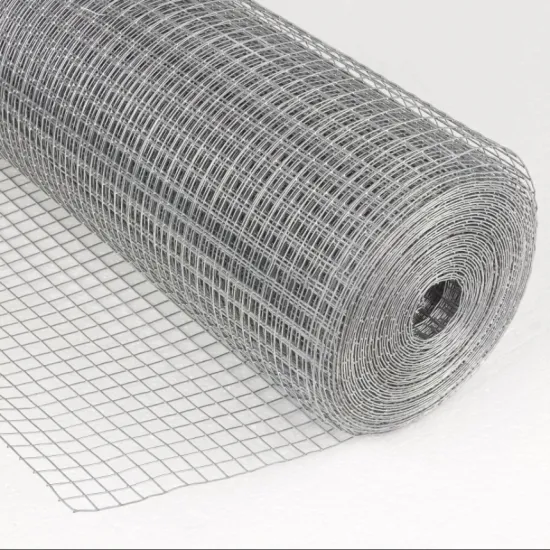 Hot dip galvanized welded wire mesh