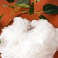 /msite/products/detail/productid/63649448/id/1524014.html