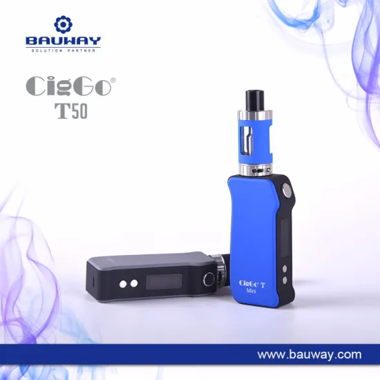2017 the electronic cigarettes temp Control mod vapor removable battery is from china