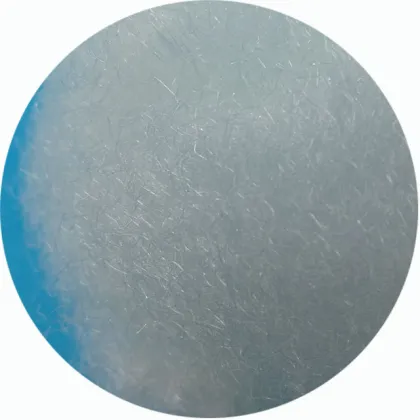 Chemical Raw Material: Coarse Denier Nylon Fiber 60D 76MM