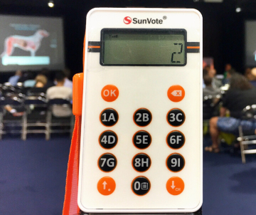 Interactive audience voting system