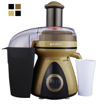 OEM & ODM factory ginger juicer with popular design for home VL-5008A-4