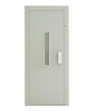 Painted Swing Door with Wire Glass/ Laminated Glass
