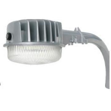 Luce di sicurezza polvere-di-alba LED 30w