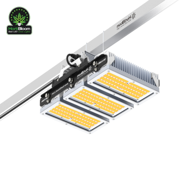 Professional 800W LED Grow Light: Best Design Commercial Full Spectrum Dimmable Solux