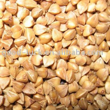 Roasted buckwheat kernel New crop