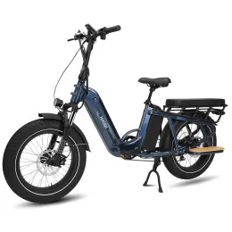 HAOQI Camel Cargo Electric Bike