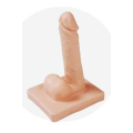 /msite/products/detail/productid/63051232/id/1517769.html