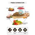 Dieta rica em proteínas para filhotes fortes