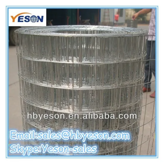 welded wire mesh fence panels in 6 gauge