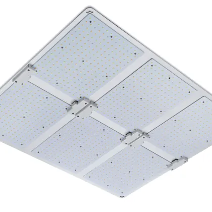 Six head quantum board farm plant lights