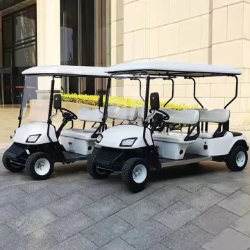 Newly Launched 2/4/6/8 Seater Electric Low-Speed Car Tourist Bus Electric Car for Sale Golf EV