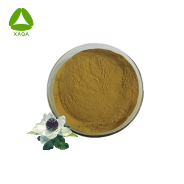 High Quality Natural Snow Lotus Flower Extract 10:1 Powder