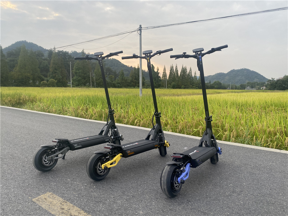 Offroad electric scooter (15)