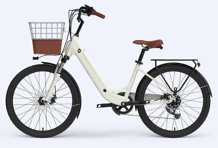 Customized Electric Bike For Ladies