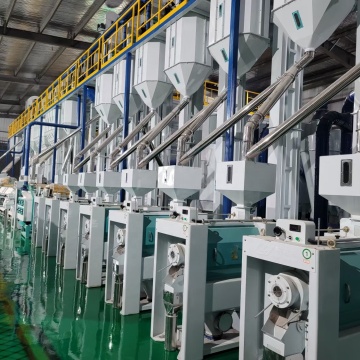 200 TPD Auto Rice Mill Plant for Parboiled Rice Production in Africa