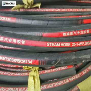Durable Insulated Steam Hose for Chemical Industry Petroleum Industry