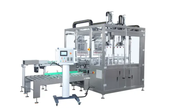 automatic top loading type 2 Lanes case filling packing machine