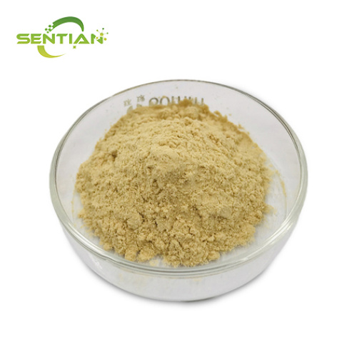 High-purity ginsenoside powder of scientific research grade