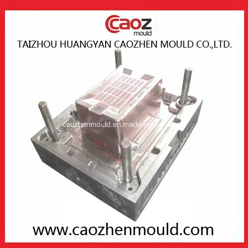 Plastic Injection Turn Over Box/Vegetable Crate Mould