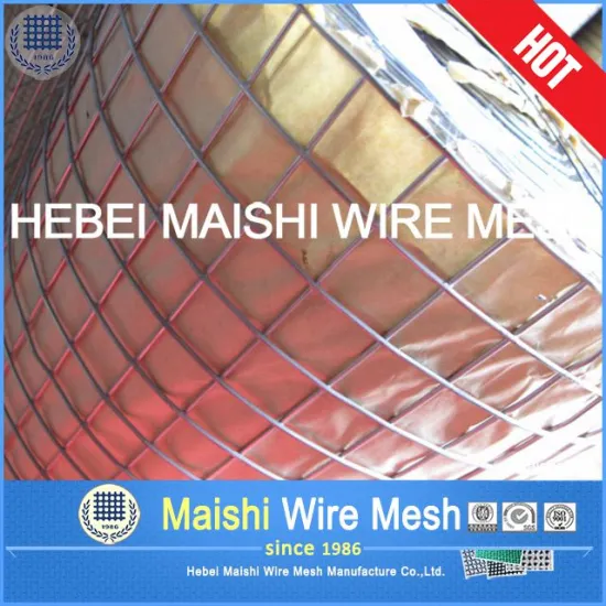 Welded Wire Mesh Building Materials