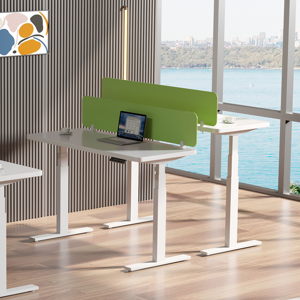 Ergonomic Electric Desk Height Adjustable Office Desk