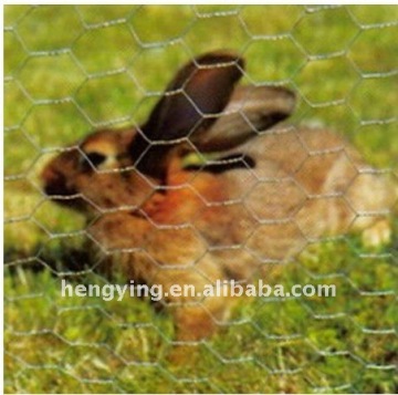 chicken wire mesh < real manufacture,lower price>